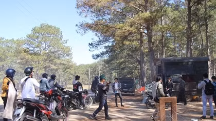 Lập tour "chui", thu tiền trái phép điểm du lịch "Cây thông cô đơn"