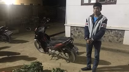 Thu giữ 90 kg thân cây, quả anh túc 