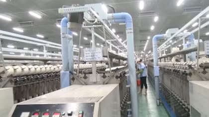 Mỗi ngày có hơn 300 doanh nghiệp đóng cửa