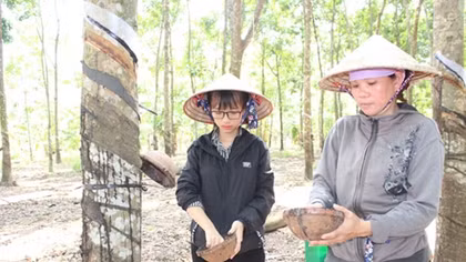 Nữ sinh nghèo vùng biên nuôi giấc mơ làm bác sĩ