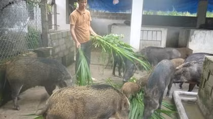 Sáu lĩnh vực ngành nông nghiệp kinh doanh sẽ phải có điều kiện