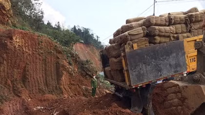 Tiêu hủy hơn 5 tấn lá cây thuốc lá