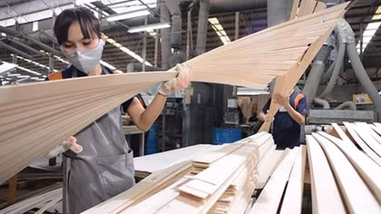 Doanh nghiệp chưa tiếp cận được vốn ngân hàng, vì sao?