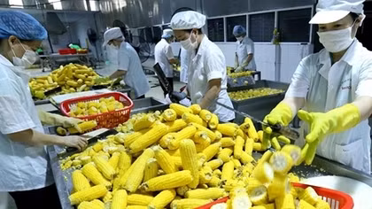 Mở rộng thị trường cho nông sản chế biến sâu