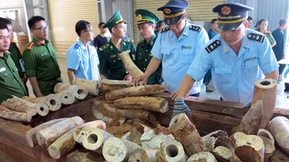 Chống buôn lậu qua cảng Đà Nẵng