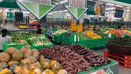 Khai thác “mảnh đất màu mỡ” thị trường nội địa