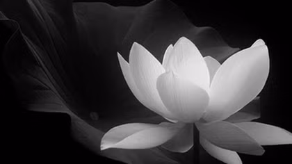 Trung tá Trần Ngọc Lâm từ trần