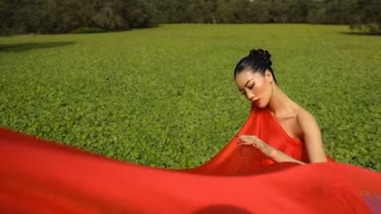 Chỉ là tràm mà cũng lung linh thế à !