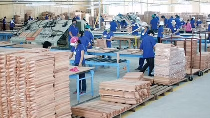 Hỗ trợ ngành gỗ tận dụng tốt ưu đãi khi xuất khẩu vào EU