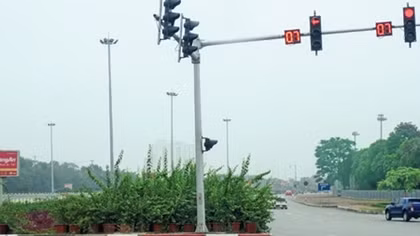 Cỏ cây mọc um tùm dọc các tuyến đường Hà Nội sau chỉ đạo “cắt” kinh phí