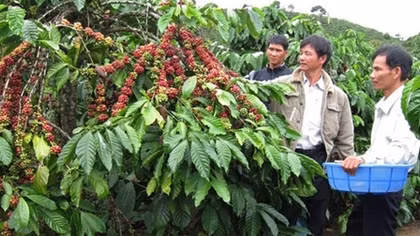 Quy hoạch chồng quy hoạch, lãnh đạo tỉnh “vừa ký vừa run”