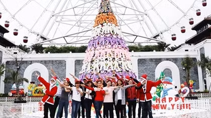 Đón giáng sinh với cây thông gấu bông lớn nhất Việt Nam tại Asia Park
