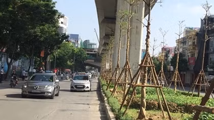 Hà Nội trồng 67.000 cây xanh trong tháng 12