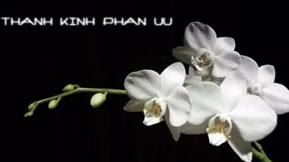 Lời chia buồn