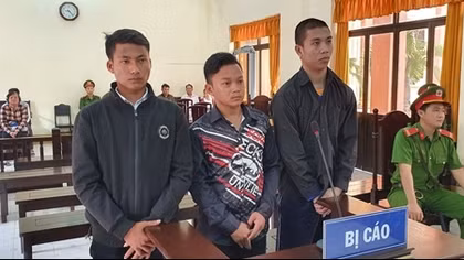 Bị trái xoài rơi trúng chân, gọi đồng bọn đập xe báo thù