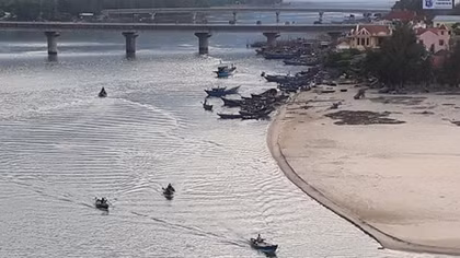 Lặng lẽ bám biển