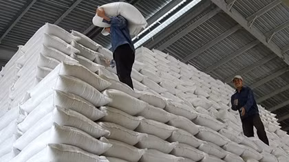 Sẽ xử lý những doanh nghiệp “xù” hợp đồng đấu thầu gạo dự trữ quốc gia