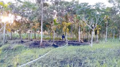 Kịp thời dập tắt đám cháy ở Khu công nghiệp Long Giang