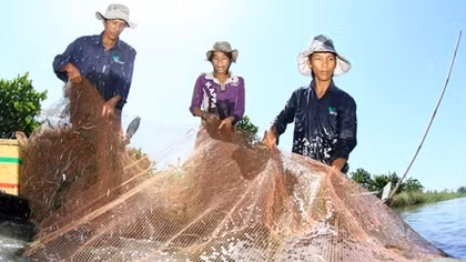 Phấp phỏng mùa nước nổi