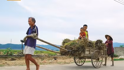 Gặp lại “chim cánh cụt” Hoa Xuân Tứ