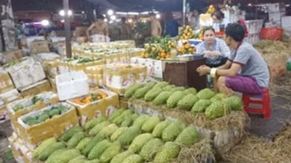 Chợ đầu mối: Nhỏ lẻ, yếu kém và thiếu chuyên nghiệp