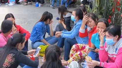 Cần xử lý nghiêm các đơn vị trốn nợ bảo hiểm