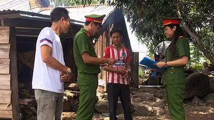 Đẩy nhanh tiến độ triển khai dự án Cơ sở dữ liệu quốc gia về dân cư