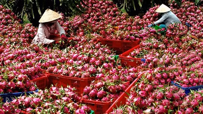 Đẩy mạnh xuất khẩu dịp cuối năm