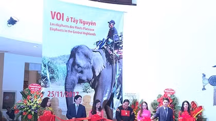 Trưng bày đồ nghề của “vua voi” Amakong
