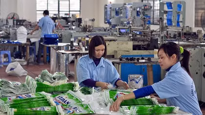 Doanh nhân là trụ cột của phát triển kinh tế tư nhân