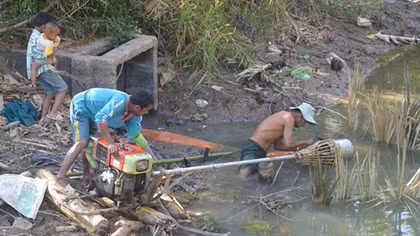 Đánh liều bơm nước mặn vào đồng để… cứu lúa vụ ba