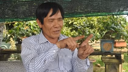 Ở "thủ phủ" mai vàng miền Trung