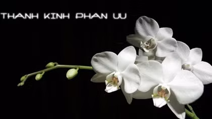 Lời chia buồn