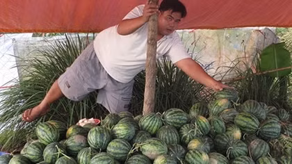 Nông dân miền Tây lại lao đao vì tin đồn
