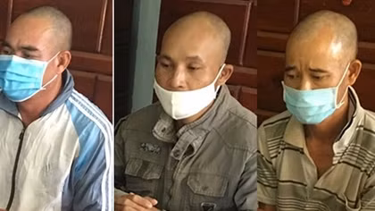 Bắt giữ nhóm đối tượng phá rừng 