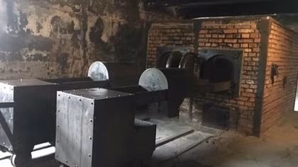 Phim tài liệu Việt về Chiến tranh thế giới thứ II lên sóng
