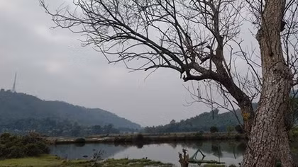 Du khảo đồi Lai Li Lai Láng
