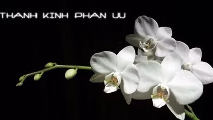 Lời chia buồn