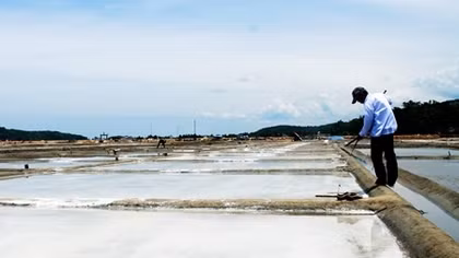 Diêm dân Sa Huỳnh lo lắng nghề làm muối truyền thống bị mai một