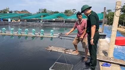 Những người nông dân làm giàu từ nuôi tôm trên cát