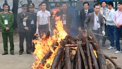 30 tháng hành động chống nạn buôn bán ngà voi, sừng tê giác