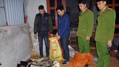 Rải bả bắt mèo giết thịt bán cho các quán tiểu hổ
