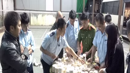 43kg đồ mỹ nghệ nghi là ngà voi