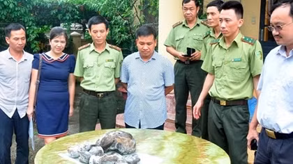 Bàn giao 5 con rái cá cho Bảo tàng thiên nhiên Việt Nam