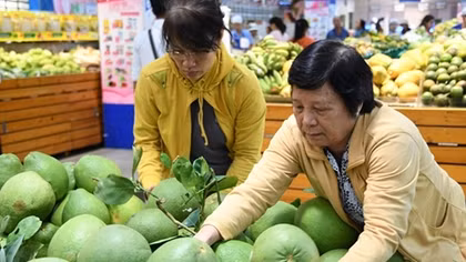 Xuất khẩu hoa quả sang Trung Quốc giảm mạnh