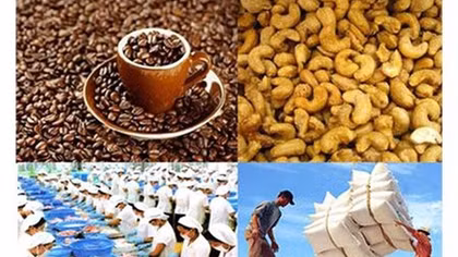 Những chính sách có hiệu lực từ tháng 6-2018
