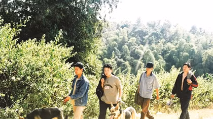 Theo cảnh khuyển "phá án" nơi đại ngàn