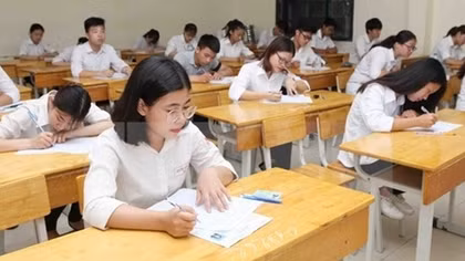 Hơn 24.000 học sinh của 41 tỉnh, thành phố tham gia Kỳ thi Toán quốc tế Kangaroo