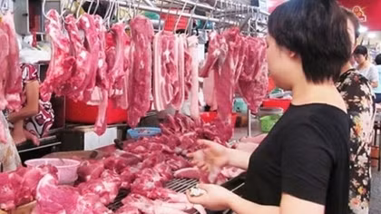 Nghịch lý phá sản vì… sạch