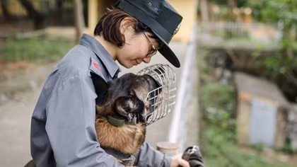 Nữ huấn luyện viên chó nghiệp vụ duy nhất trong lực lượng Cảnh sát